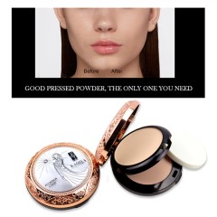 POLVO FACIAL PROFESIONAL DE LARGA DURACION CO Ref:00115